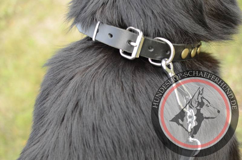 Halsband für Schäferhund mit Messingbolzen